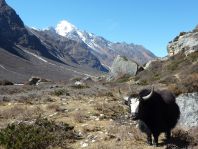 Nepal - Langtang