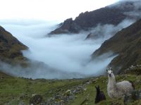 Bolivie - Takesi