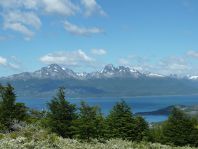 Patagonie - Terre de feu - Ushuaia
