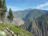 Pérou - Canyon de Colca